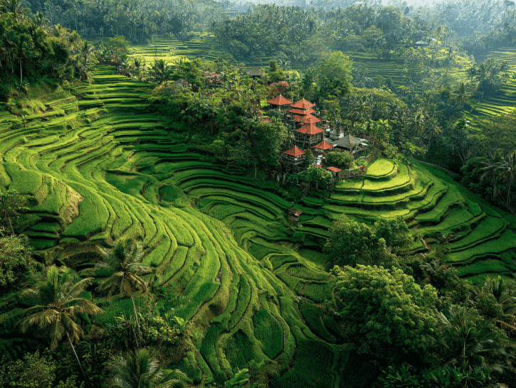 Travel